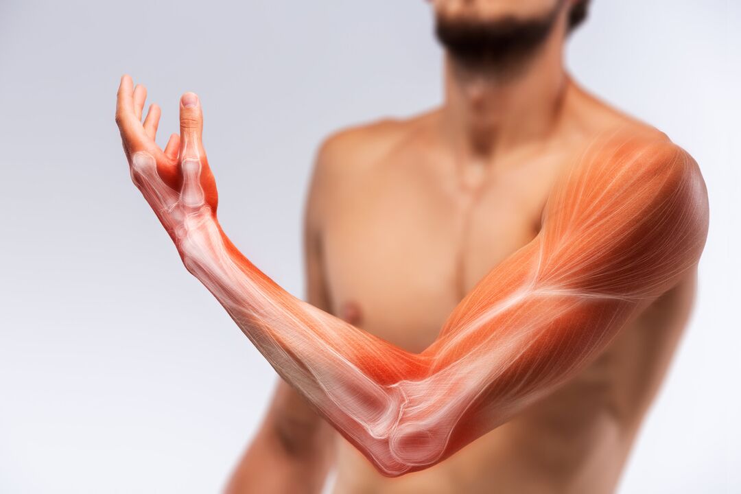 Die Handmuskeln und ihre Behandlung mit der Congelum -Gelbehandlung